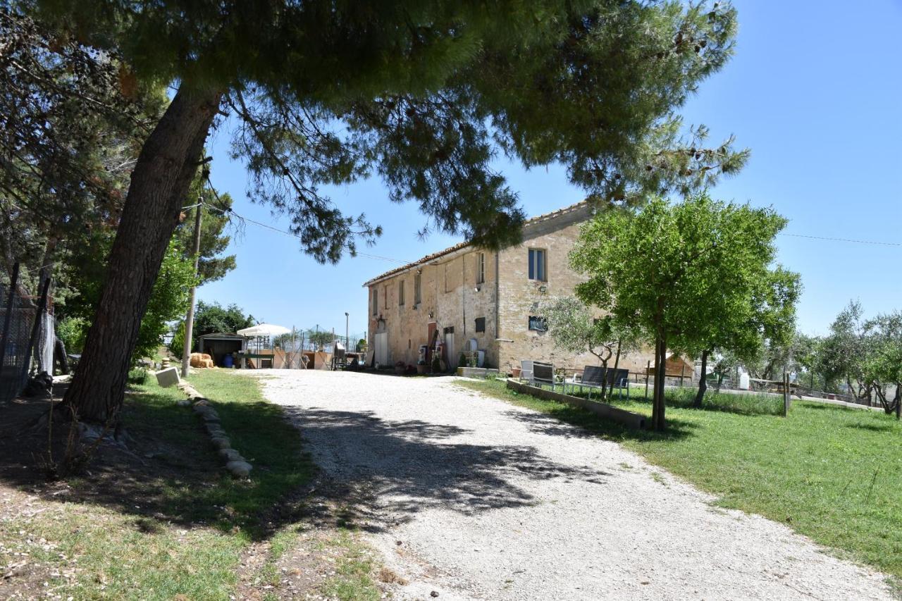 Fattoria Country Village Montecarotto Exterior photo